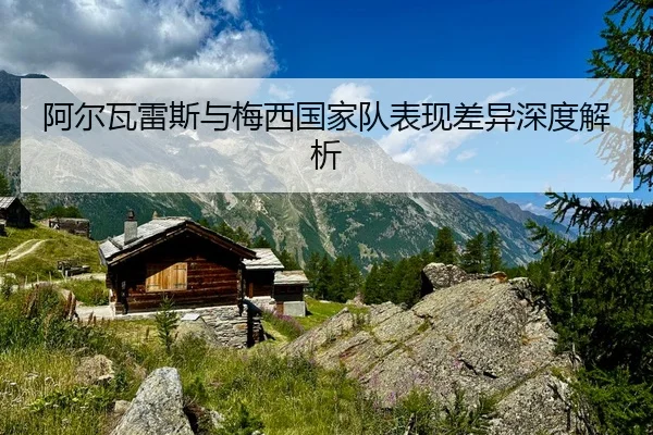 阿尔瓦雷斯与梅西国家队表现差异深度解析
