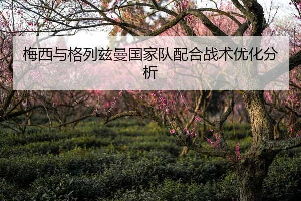 梅西与格列兹曼国家队配合战术优化分析
