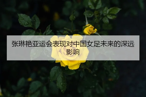 张琳艳亚运会表现对中国女足未来的深远影响